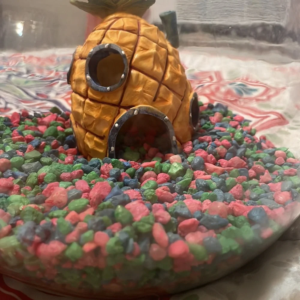 I’m am selling a small aquarium with a PLASTIC plant and a SpongeBob pineapple